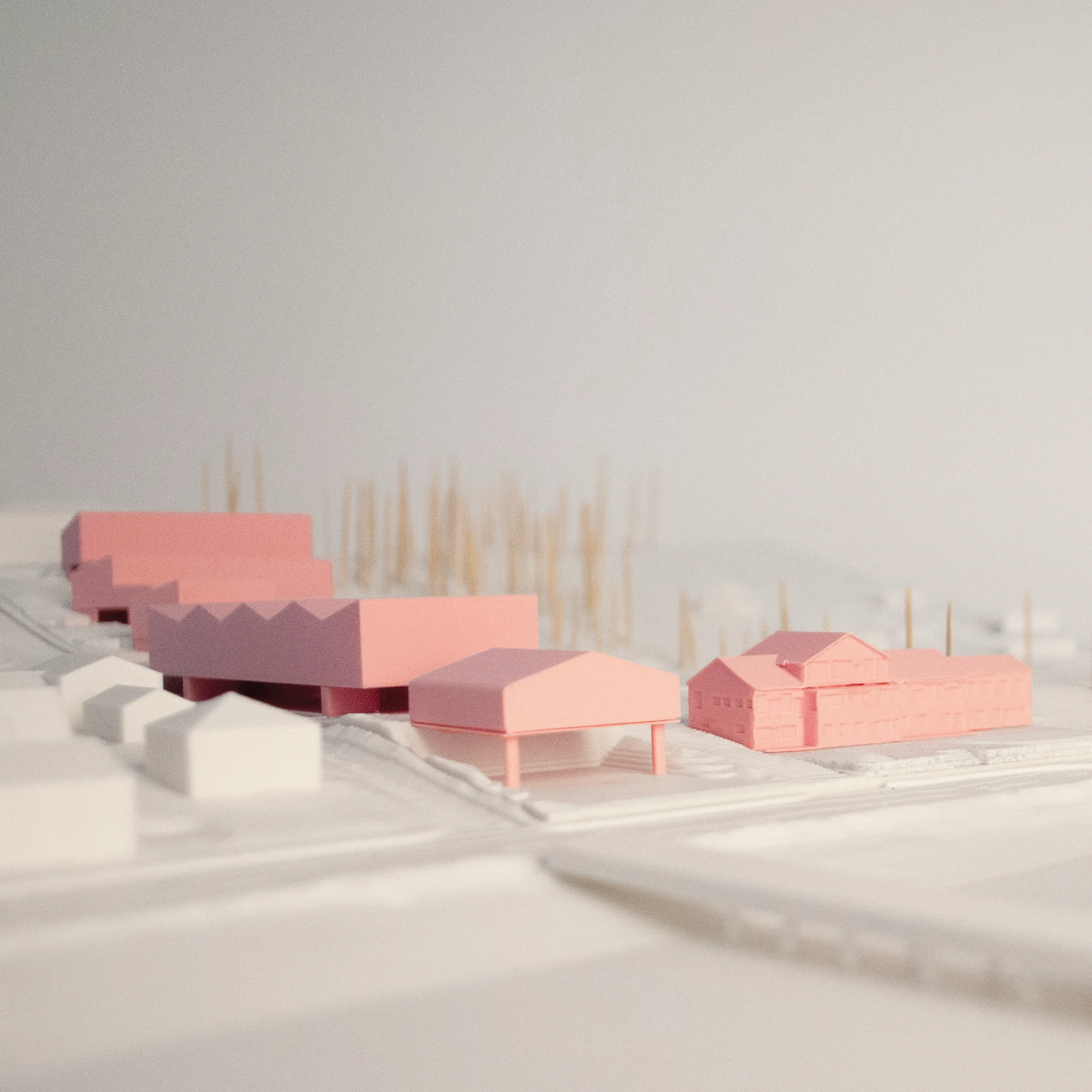 'Na̱mg̱is Nurses' Residence Master Plan